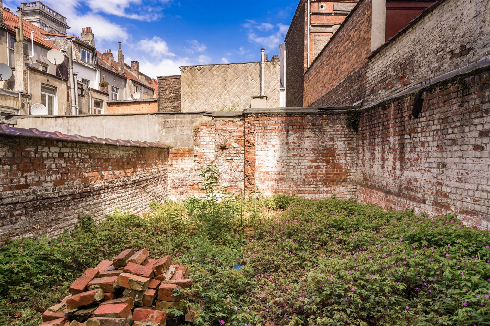 Spacious house to renovate with city garden - photo 2