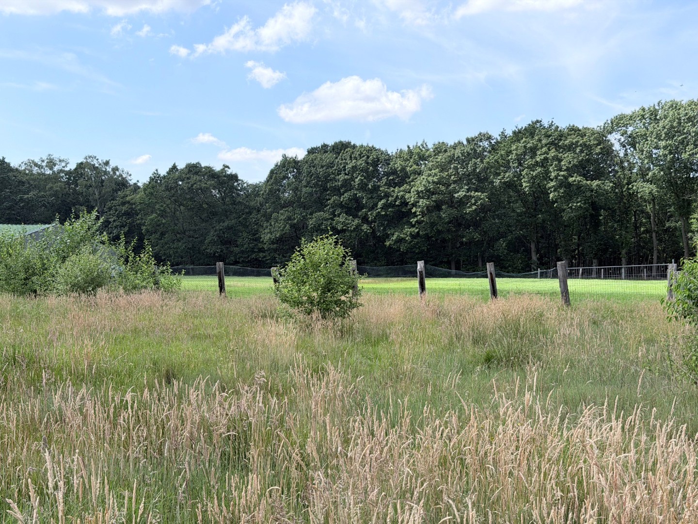 Bouwgrond voor HOB, 11a04ca, met zicht op groen - foto 4