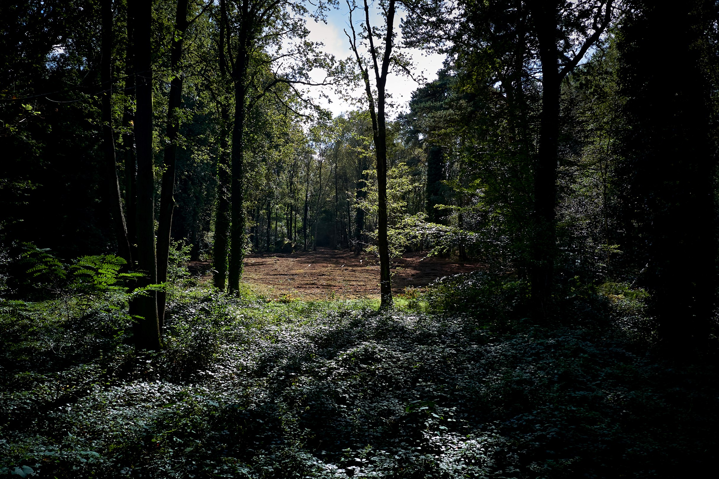 Exceptioneel perceel bouwgrond te Schilde!!! - foto 5