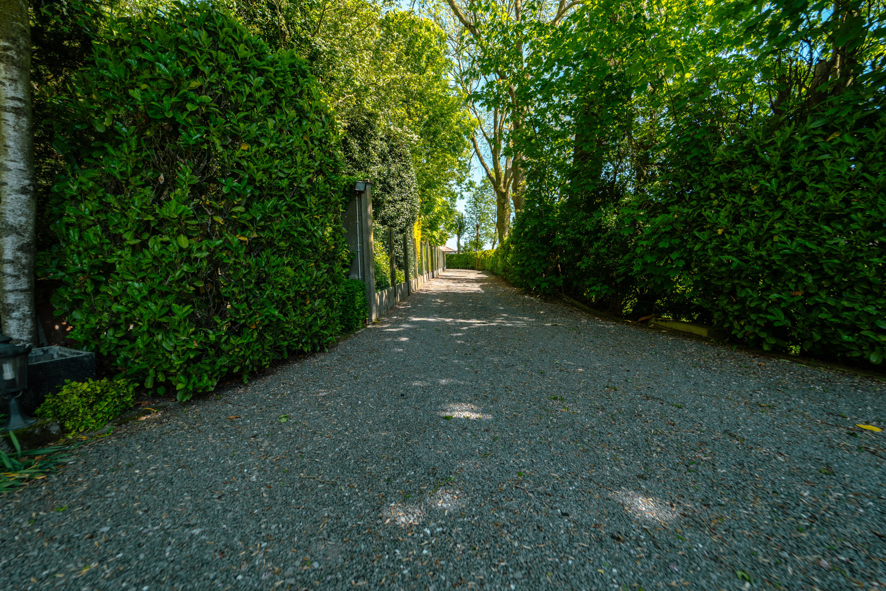 Exclusieve eigendom op ±3.300 m²: wonen op een privé-eiland - foto 4