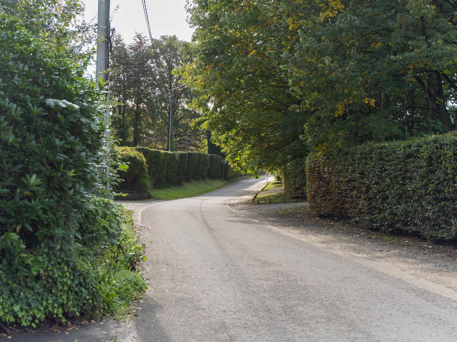 Land for sale in Lasne-Chapelle-Saint-Lambert - photo 5