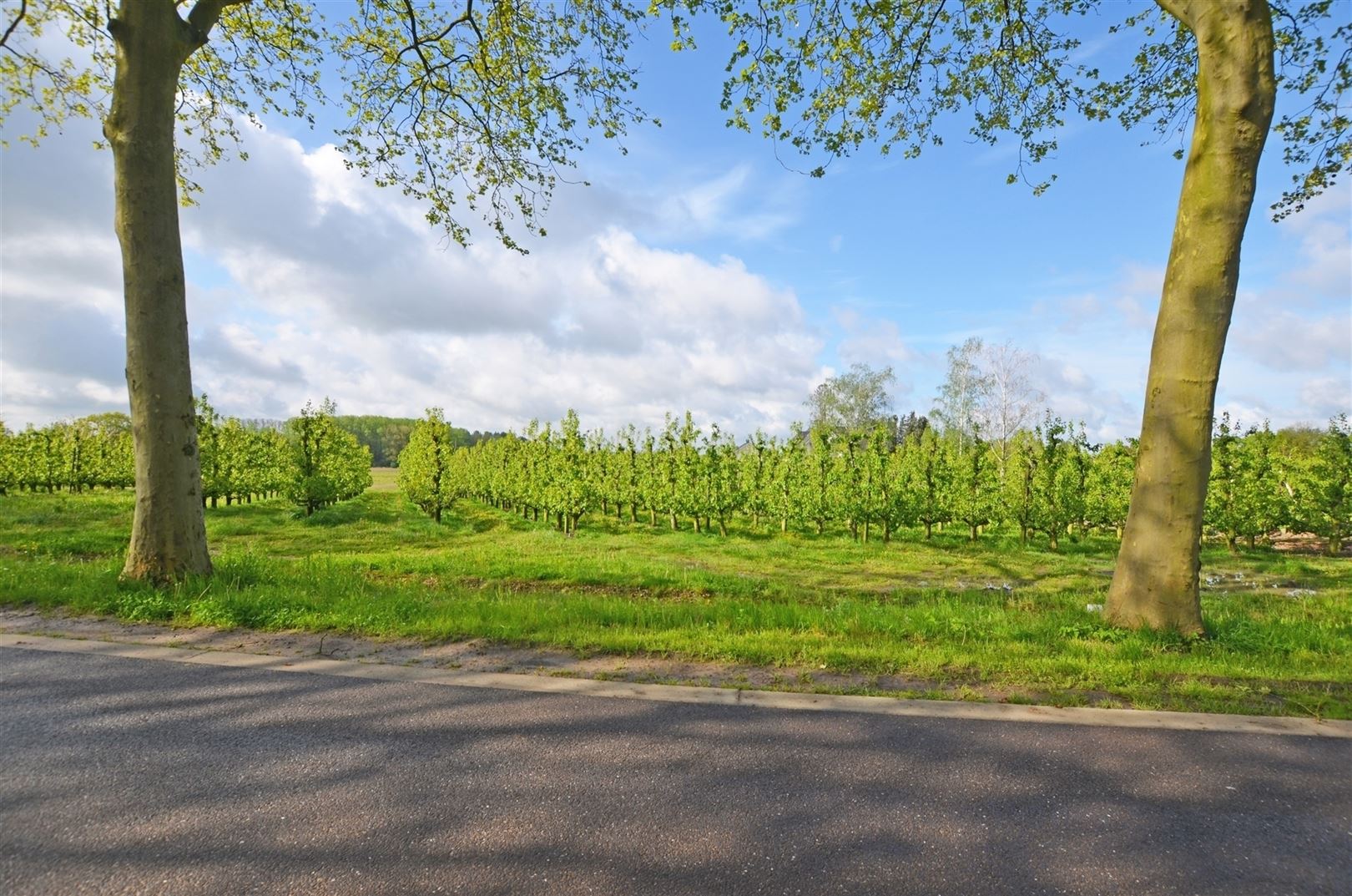 Land for sale in Hasselt - photo 1