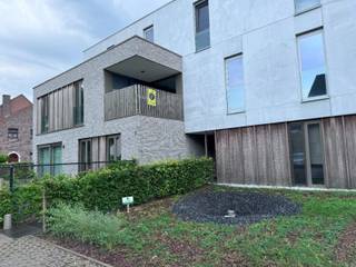 Appartement à louer à Tamise