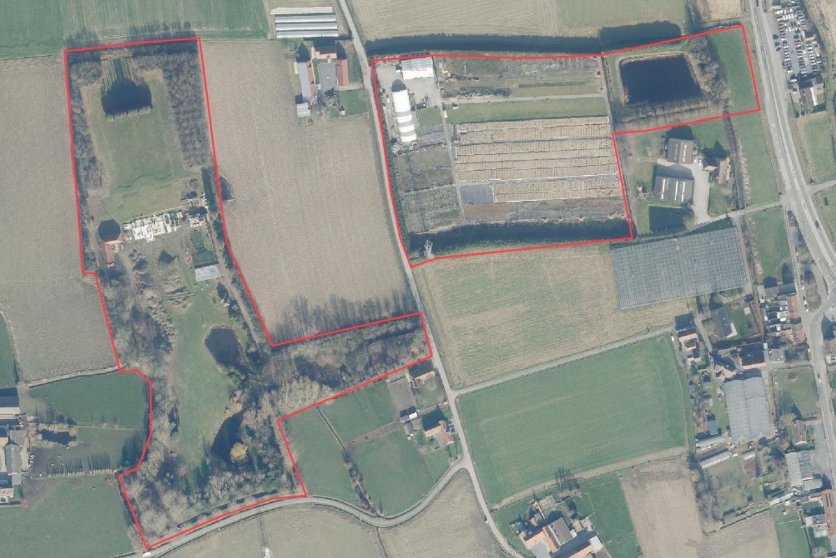 Rendabele plantenkwekerij van circa 9 ha te koop te Menen - photo 1