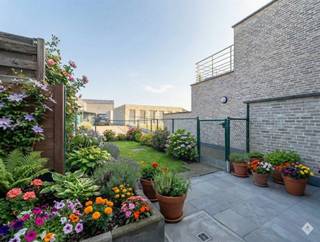 Apartment for rent in Buggenhout