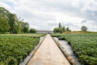 Deze uitzonderlijke tuinbouwsite ligt in het hart van de Vlaamse sierteeltregio en biedt circa 17.825m² hectare aan ruimte en mogelijkheden. De...