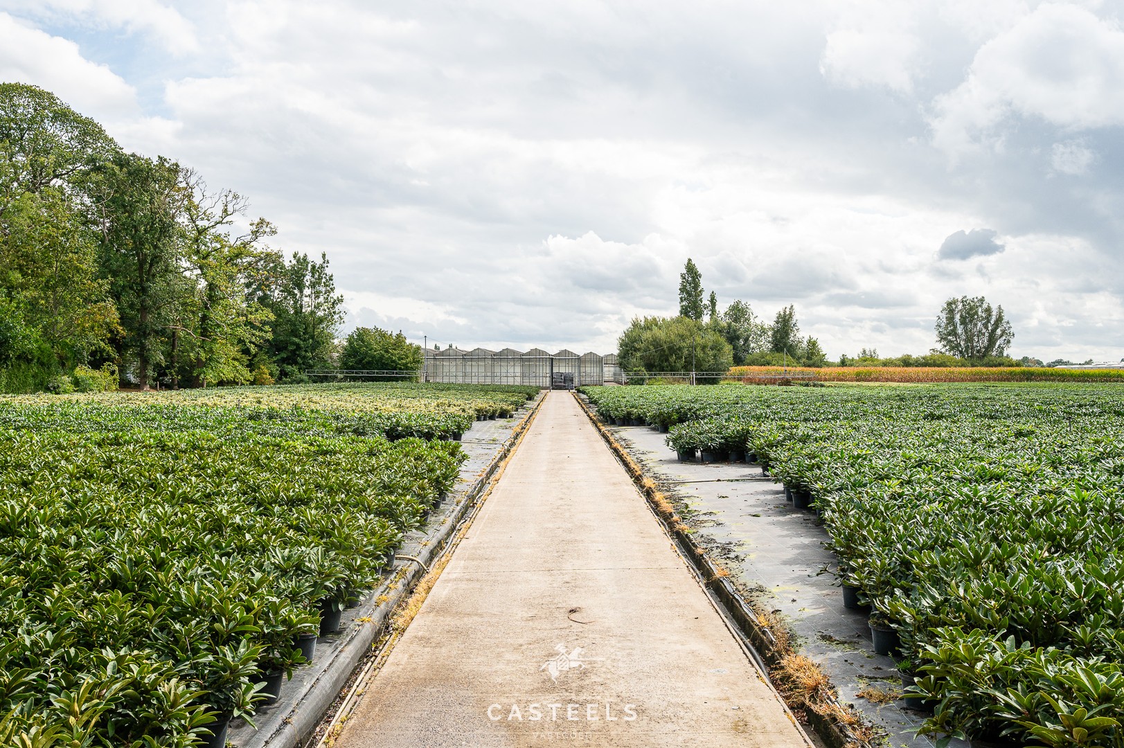 Uitzonderlijke tuinbouwsite in hartje Lochristi - foto 3