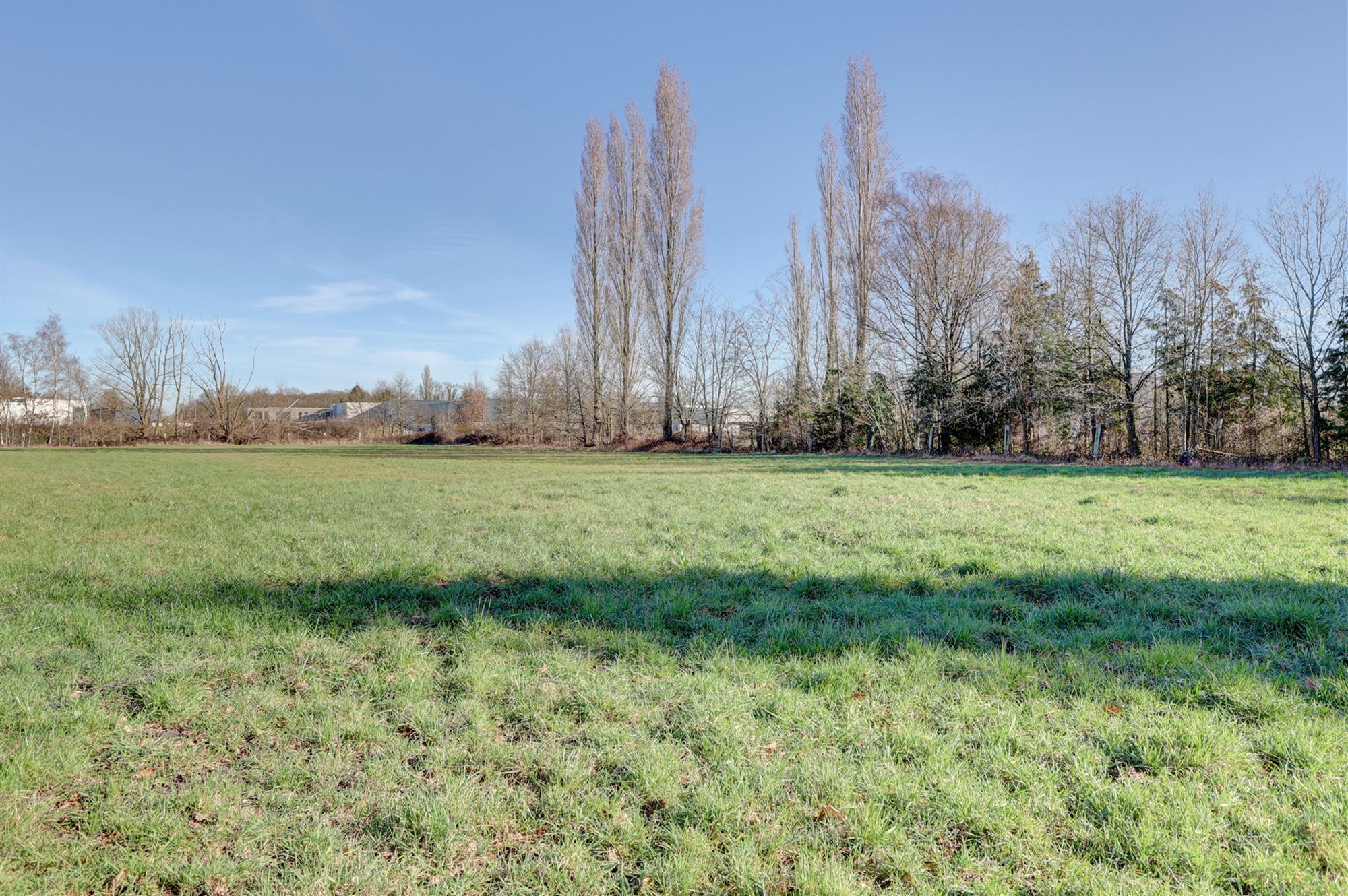 Idyllische paardenweide / bosgrond in Bonheiden - foto 4