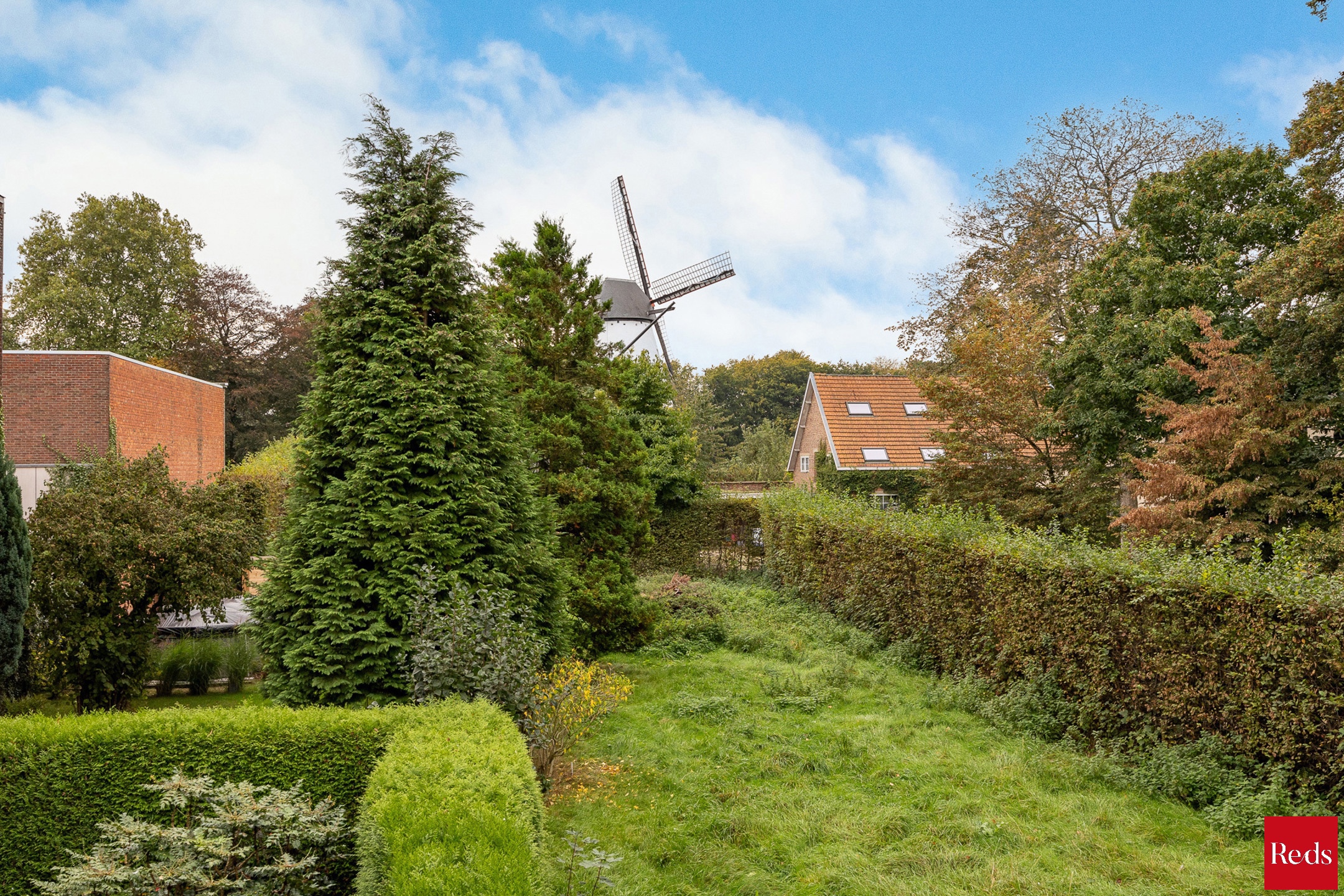App op top locatie, terras, zicht op de molen en 1,5 kamer - foto 5