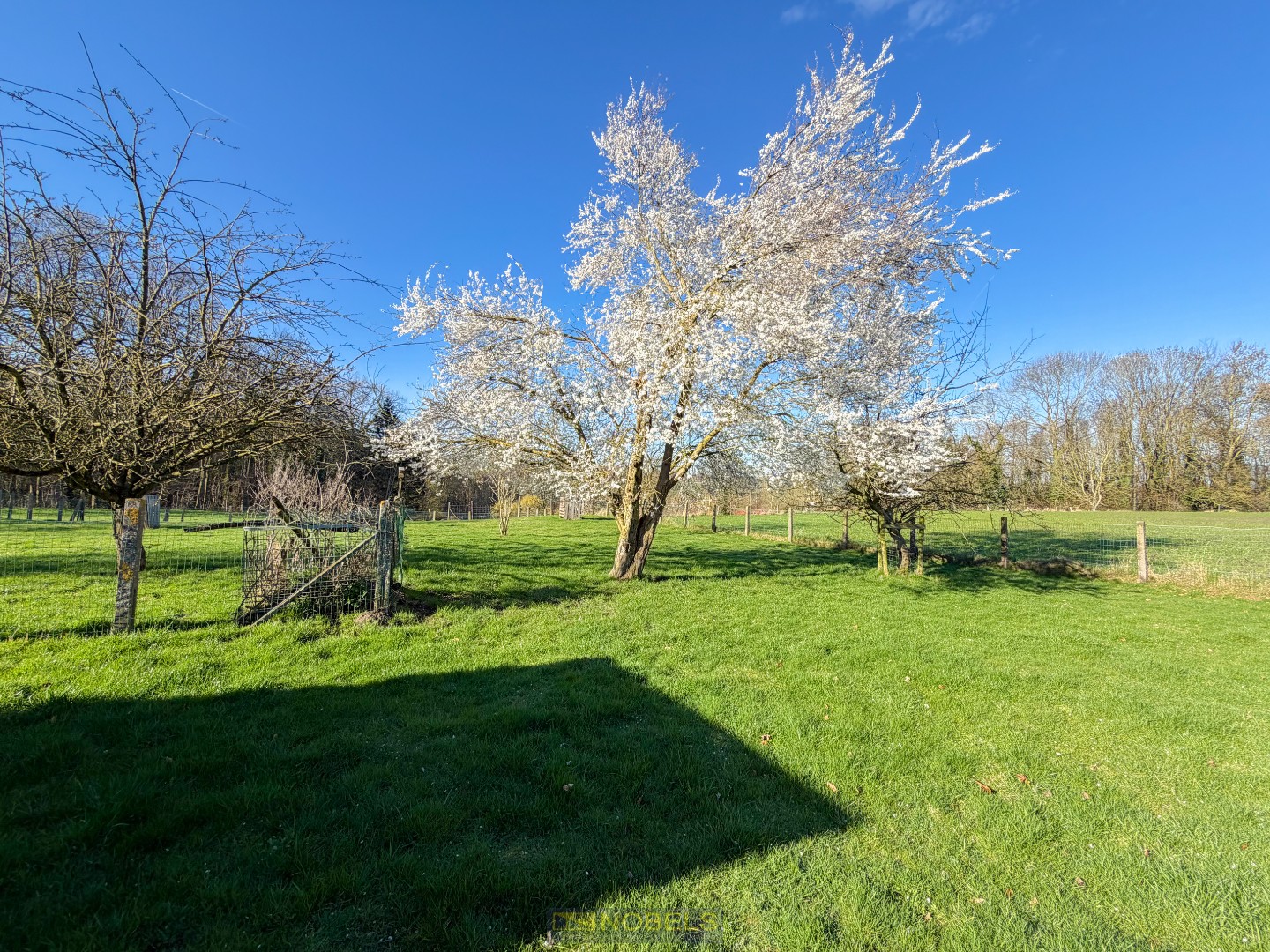 Te koop, prachtig gelegen woning op mooi stuk grond te Maarkedal - foto 3
