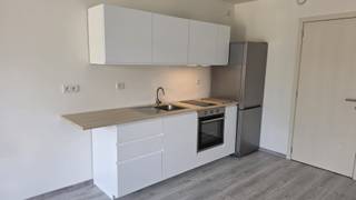 Studio (39 m²) op de eerste verdieping links in een recent gebouw en op een zeer goede locatie. De studio bestaat uit een lichtrijke leefruimte met open keuken (voorzien van kookplaat, koelkast en oven), zonder aparte slaapkamer, een badkamer met douche, enkele lavabo en toilet, en een praktische berging. Geen kelder aanwezig. Openbare parkeerplaatsen in de onmiddellijke omgeving; Op wandelafstand van bushalte en tram. Nabij de NATO, luchthaven Zaventem, Europese Commissie. Ideaal als pied-à-terre, startwoning voor een alleenstaande of als investeringspand voor verhuur aan zakelijke professionals die lange werkdagen hebben en de dagelijkse pendeltijd willen vermijden. ELECTRICITEIT CONFORM, ZEER LAGE EPC van 95 kwh/ m² jaar. Interessante opportuniteit voor investeerders (verhuur)