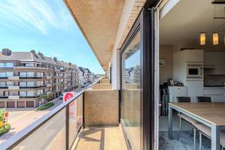 Zongerichte studio met slaaphoek en terras te koop, gelegen op de derde verdieping van de jonge en goed onderhouden Residentie Hermitage...