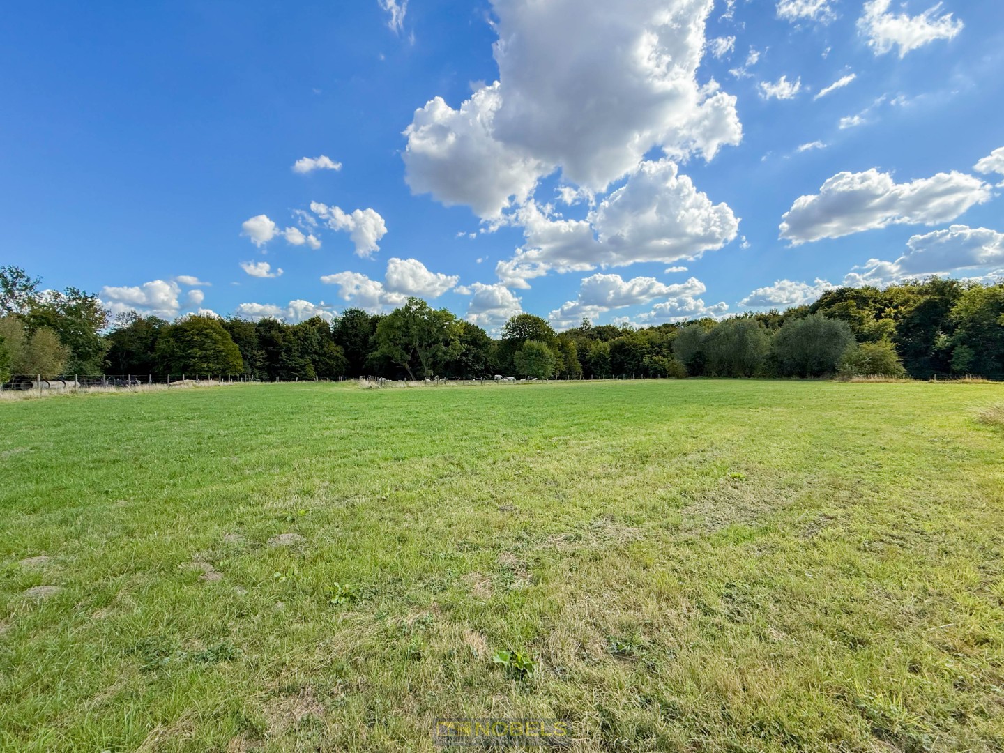 À vendre, terrain de luxe spacieux (7.030 m²) pour villa à Ellezelles - photo 2