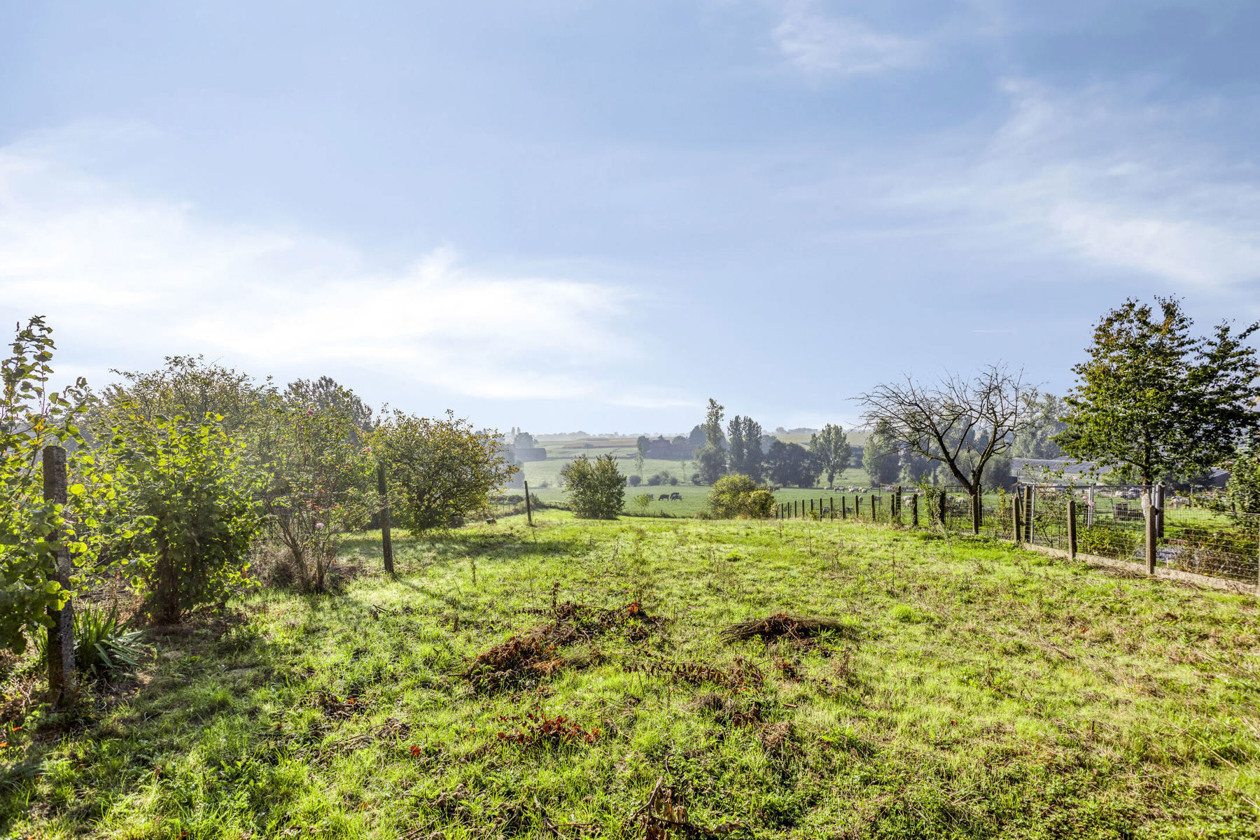 House for sale in Sint-Pieters-Leeuw with 2 bedrooms - photo 4