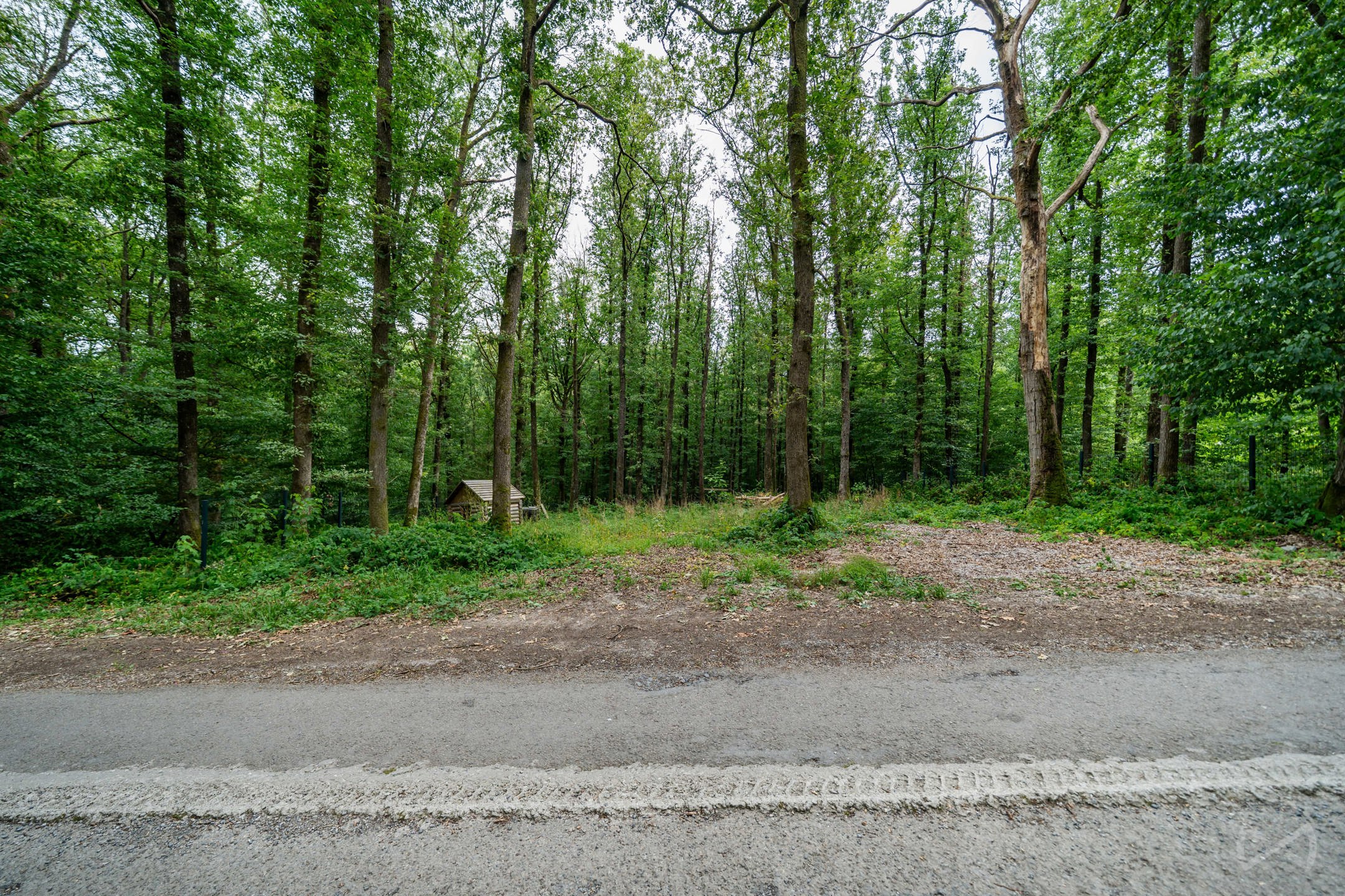 Grond te koop in Philippeville - foto 4