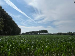 Zowel voor renovatie als heropbouw bestaat de mogelijkheid om te genieten van het GUNSTTARIEF van 6% BTW.De natuurliefhebber vindt op deze locatie...