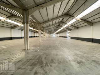 Functioneel magazijn met een oppervlakte <strong>vanaf 200 m²</strong>. Uitermate goed gelegen in Rumbeke op 1,8 km van E403.<br /><br />Deze magazijnruimte heeft een vrije hoogte van 6 m en is toegankelijk via een sectionale poort (4.40 m B x 4.20 m H) en toegangsdeur. De loods is voorzien van o.a. lichtstraten, gepolierde betonvloer, elektriciteitsaansluiting met 220V en 380V, wateraansluiting en ruime parkeer- en manoeuvreerruimte. De loods is recent gerenoveerd en biedt een droge en veilige opslag. Het terrein is voorzien van nachtverlichting en is 24/7 toegankelijk.<br /> <br /><strong>Onmiddellijk beschikbaar. </strong><br /><br />Contacteer <strong>PANORAMA B2B</strong> voor bijkomende informatie of een vrijblijvend plaatsbezoek op het nummer <strong>050 300 800</strong>.