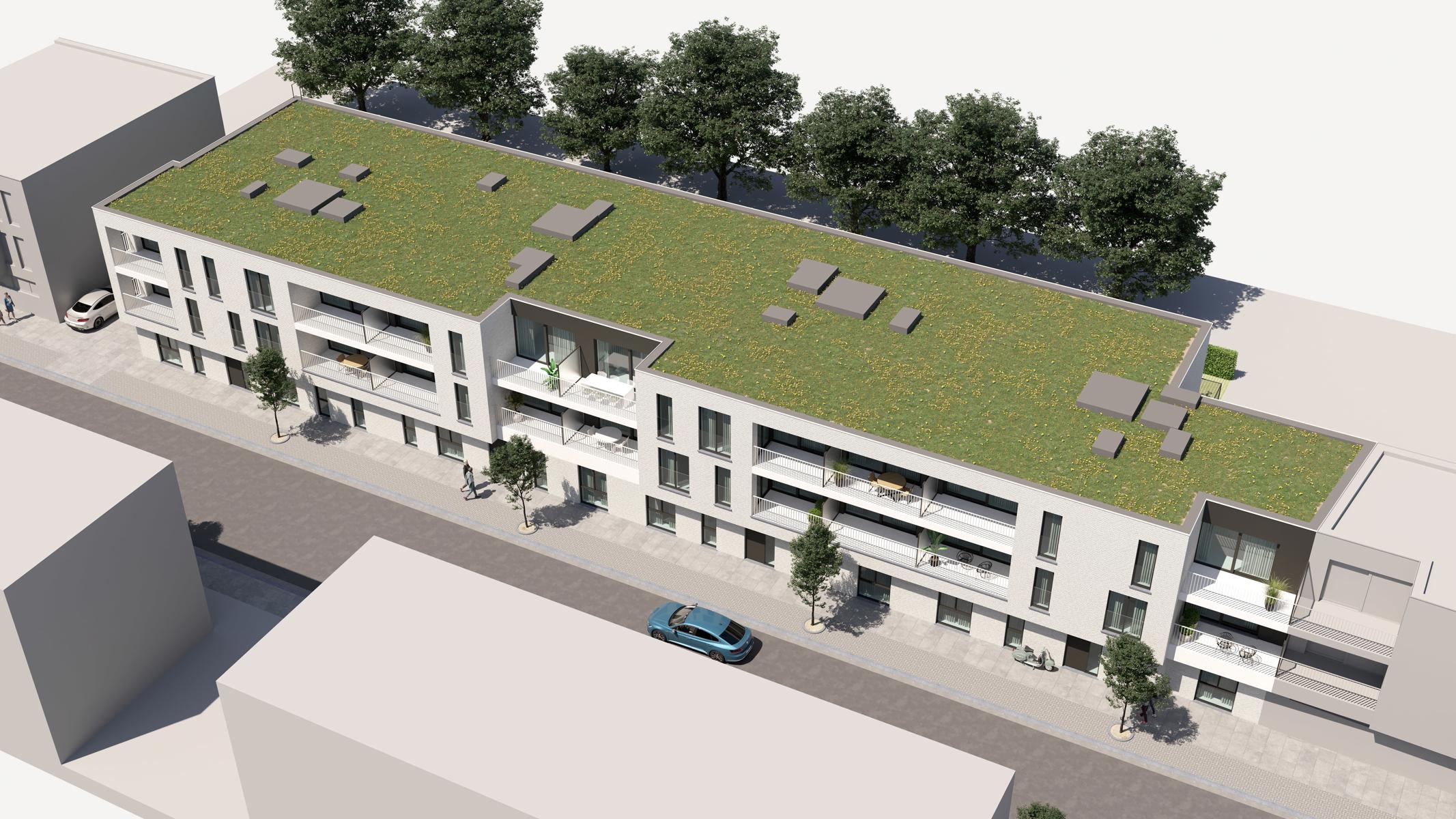 Project te koop in Stabroek - foto 4