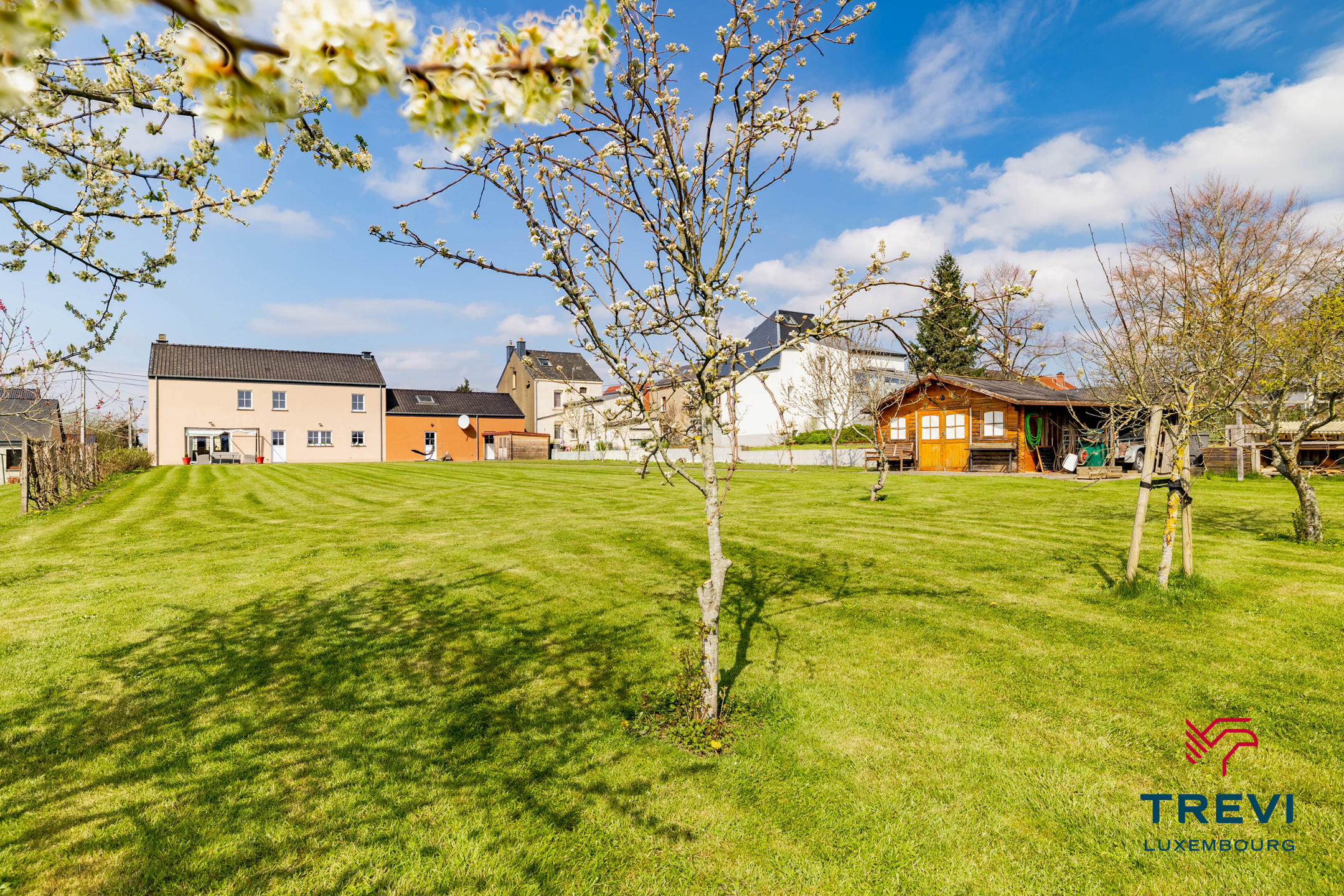 Maison à vendre à Virton avec 5 chambres - photo 1