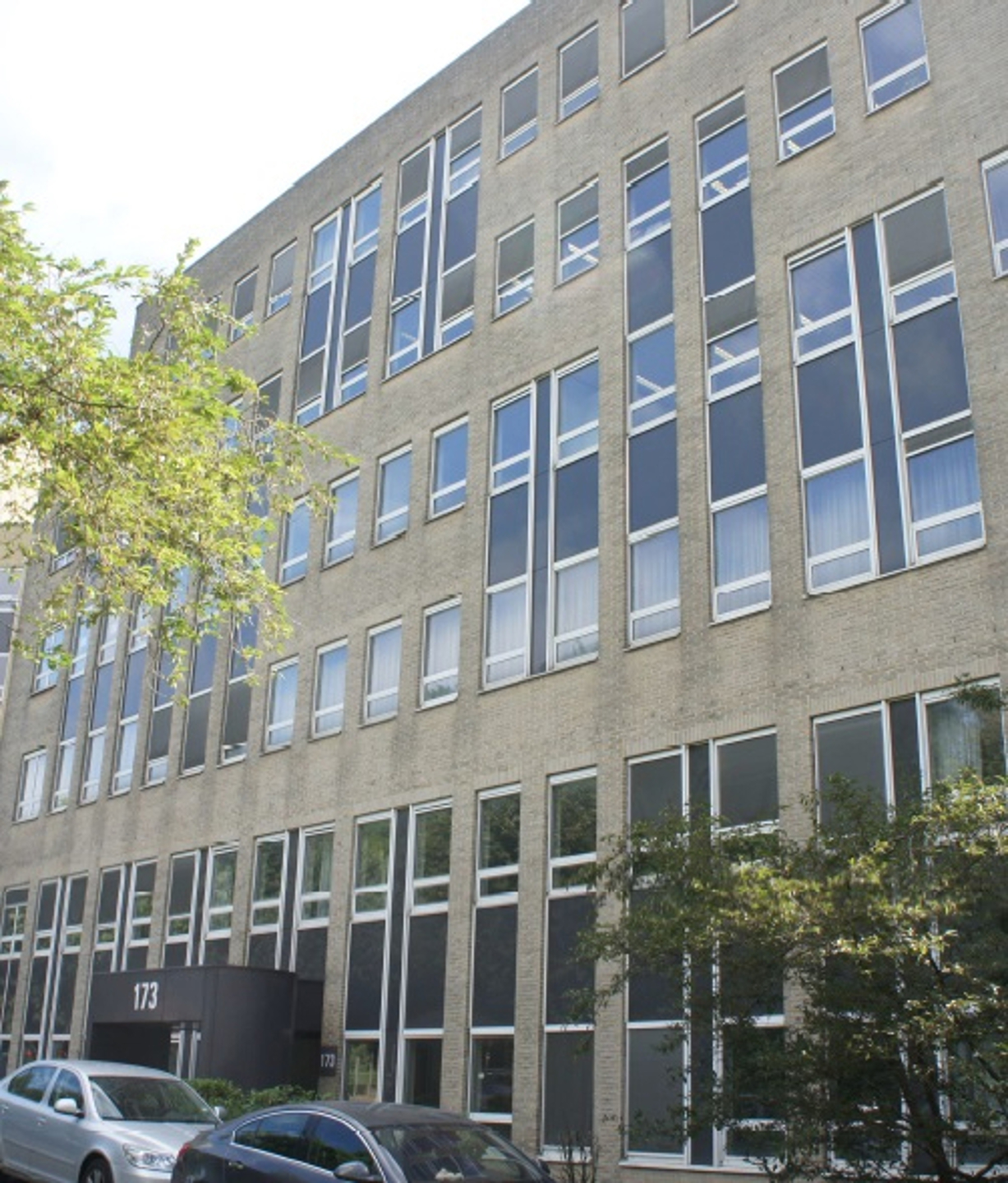 …
