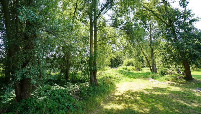 Bouwgrond 8 are 80 ca open bebouwing vlakbij centrum met mooi achterzicht op groene omgeving - photo 4