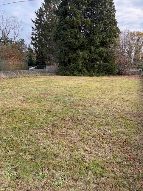 Te renoveren woning op een perceel van 8 are - foto 4