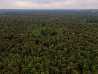 In een groene omgeving te Lichtaart (Kasterlee) bevindt zich dit bos met een oppervlakte van 1345 m². U kunt hier genieten van de pure rust, toch in de nabijheid van winkels, het openbaar vervoer, belangrijke invalswegen en Bobbejaanland. Het bos is bereikbaar met de wagen en biedt tal van mogelijkheden. Contacteer ons voor meer informatie op 0474/78 07 73. 