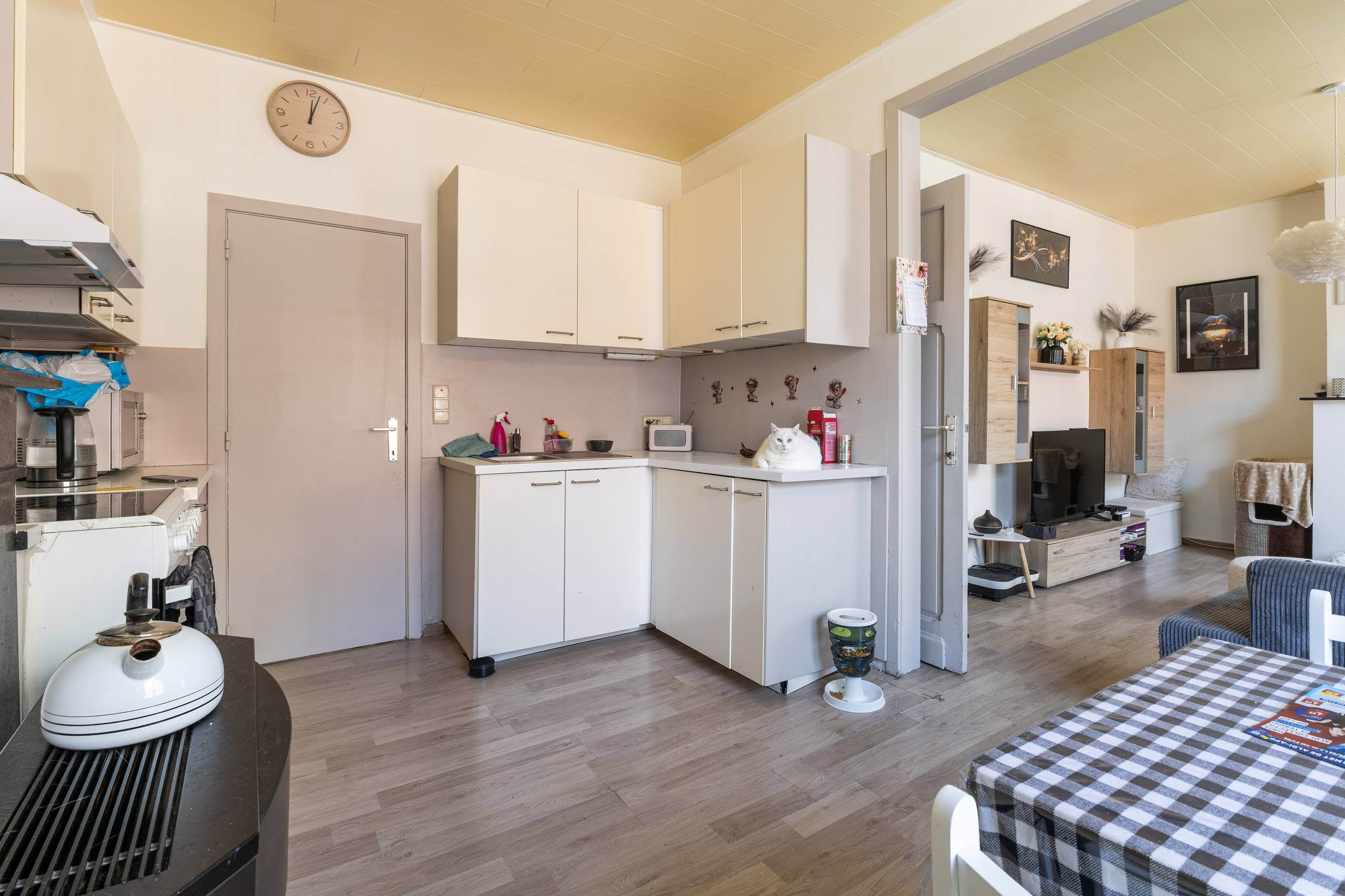 Commercieel te koop in Oostende met 4 slaapkamers - foto 5