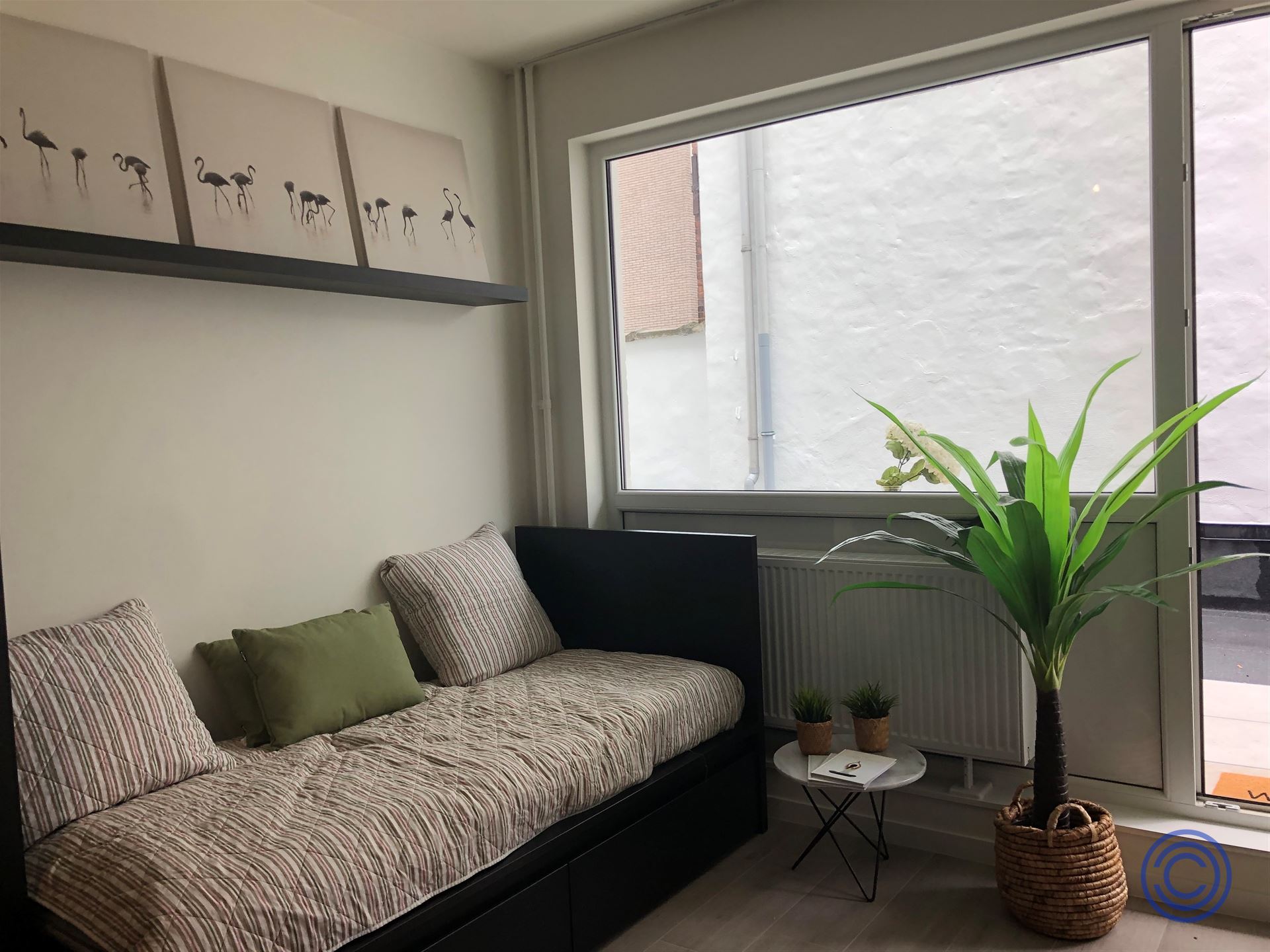 OPBRENGST:18 gerenoveerde studio's + kelder! - foto 3