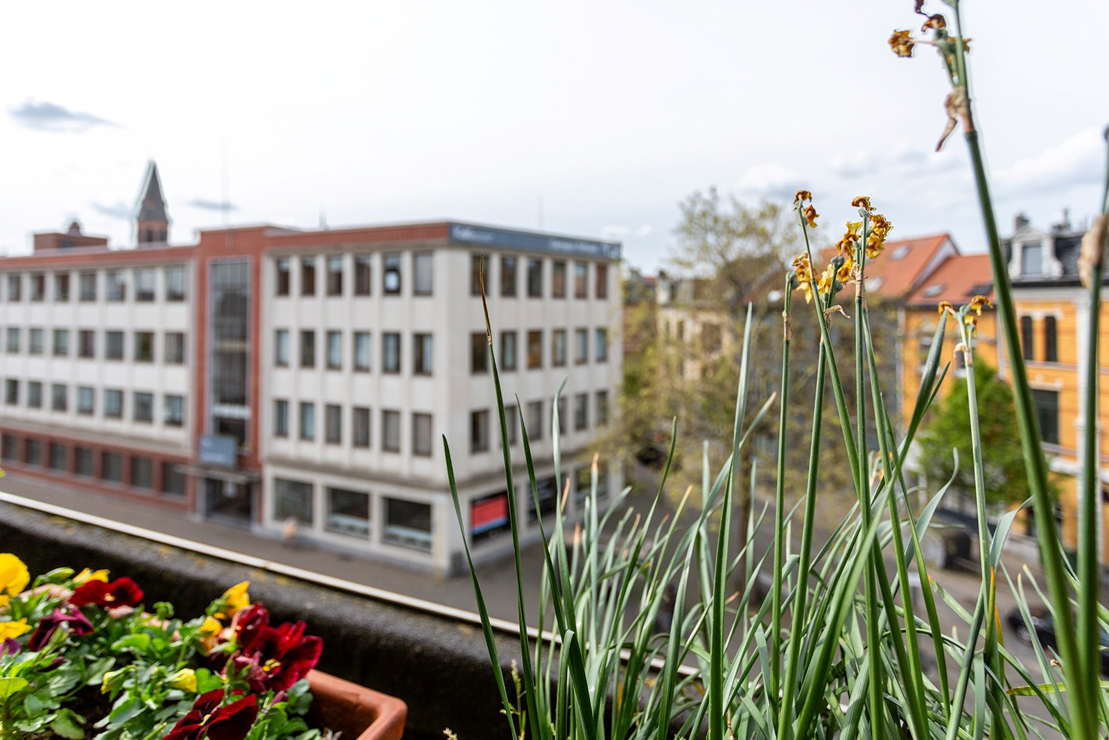 Lichtrijk appartement met terras vlak bij centrum - foto 5