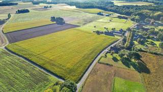 BREE - Charmante villa met grote aanbouw en stalgebouw op 2ha5 (tot 6ha5 mogelijk)<br /><br />Op de grens met Gruitrode (Oudsbergen) treffen we in een heel landelijk en rustige omgeving deze charmante villa aan.<br /><br />De eigendom is te koop op 2ha5 maar kan tevens ook aanpalend weiland tot 6ha5 waardoor een straatbreedte van maar liefst 440meter.<br /><br />Vooraan zijn er 2 praktische overdekte staanplaatsen die toegang geven tot een aanbouw waarbij langs de voor -en achter zijde een dubbele garage waartussen opslagruimtes.<br />Deze aanbouw (145m²) zou ook zeker geschikt zijn voor het inrichten van een praktijk.<br /><br />De woning zelf heeft een (bew. opp. 261m²) werd gebouwd in 1992 en voorzien van degelijke materialen. Ze omvat een zeer ruime inkomhall met apart toilet, toegang tot een bureel of extra slaapkamer, badkamer, een zeer ruime lichtrijke leefruimte met open haard dewelke net zoals de keuken wijds zicht heeft op de achterliggende weilanden.<br />De eerste verdieping omvat 3 ruime slaapkamers, een dressing en een 2e ruime badkamer.<br /><br />Ook op het terras en in de tuin is het genieten van de rust en het mooie open zicht op eigen weilanden.<br /><br />De woning kan een EPC attest voorleggen (C, 264kWh) waardoor geen renovatieverplichting alsook een conforme elektriciteitskeuring.<br /><br />De eigendom is volledig omheind en voorzien van een poort die met oprijlaan die toegang geeft tot het stalgebouw (24mx9m75). Deze omvat 8 paardenstallen waaronder 1 merrie/veulen box waarnaast nog verschillende opslagplaatsen en een wasplaats. Via een vaste trap is er tevens ook een zeer ruime zolderverdieping.<br /><br />De weilanden zijn netjes onderverdeeld en voorzien van verschillende schuilstallen. Ook is er een opslagplaats (15mx5m50) aanwezig voor tractor en hooi.<br />Naast de woning ligt een gedraineerde buitenpiste voorzien van verlichting.<br /><br />Wil u genieten van rust en privacy nabij de ruiter en fietspaden en dit toch op amper 3km van het centrum van Bree en nabij wedstrijdaccommodaties? <br /><br />Ontdek de vele troeven van deze degelijk gebouwde, steeds goed onderhouden eigendom en plan een bezoek in ! Contacteer ons op 053/60.65.66