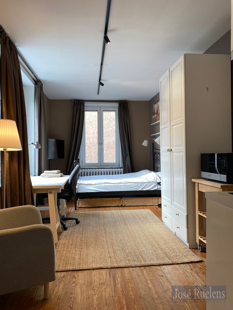 Uitstekend gelegen bemeubelde studio in Herenhuis aan het station. - foto 4