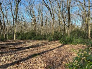 Terrain à vendre à Brasschaat