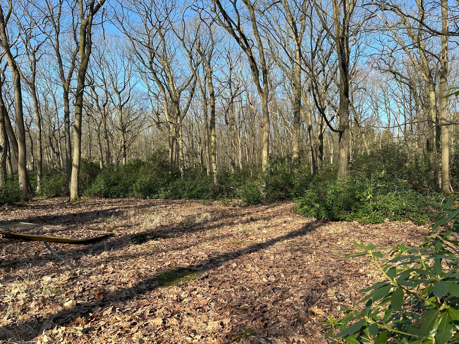 Terrain à vendre à Brasschaat - photo 1