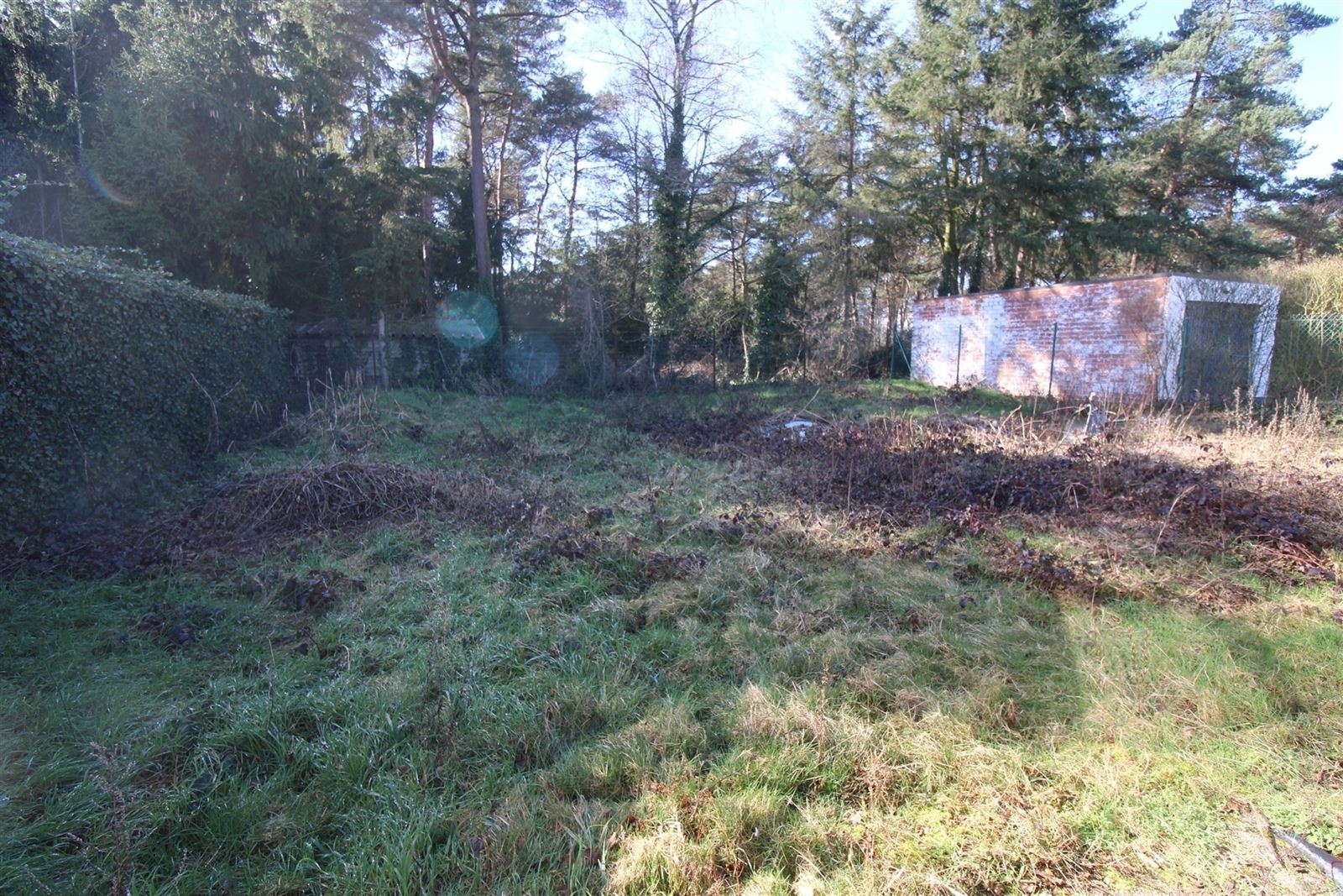 Te renoveren laagbouw op rustige toplocatie - foto 2