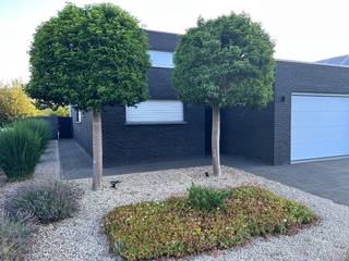 Ruime moderne woning met garage en ruim tuinhuis gelegen in een rustige omgeving. Op wandelafstand van het centrum (+-500 meter) en eveneens bereikbaar met openbaar vervoer. Nabij gelegen aan een bosrijke omgeving en natuurgebied. Woning heeft op gelijkvloers een ruime leefruimte, living en met open keuken met uitzicht naar de tuin, een berging, en een wasruimte, garage, en aan straatkant een kantoorruimte of extra slaapkamer en toilet. Op 1ste verdiep, 3 slaapkamers, een ruime badkamer met douche en hoekbad, 1 toilet, op gelijkvloers Tuin omsloten met omheining, veilige en ruime speelruimte voor kinderen.
