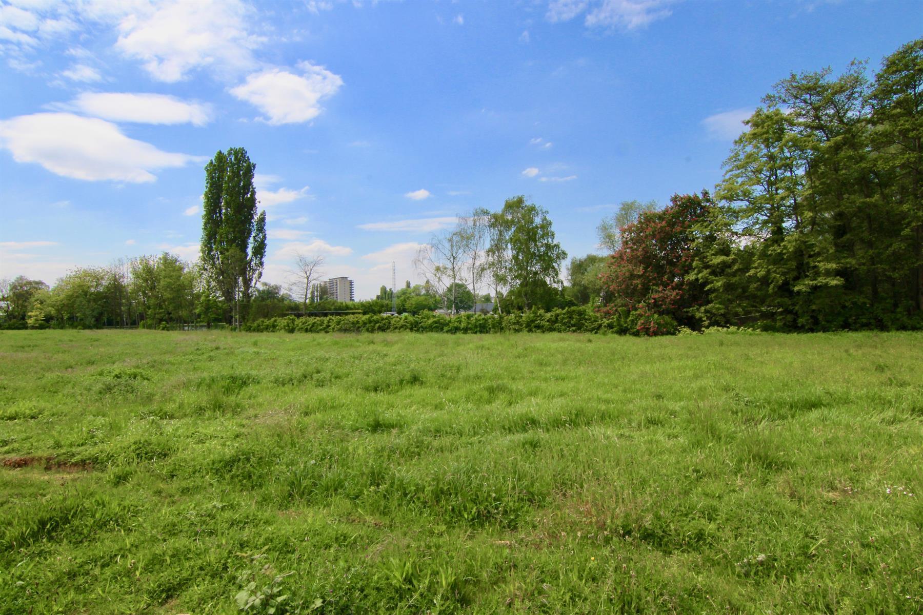 Grond te koop in Tienen - foto 3