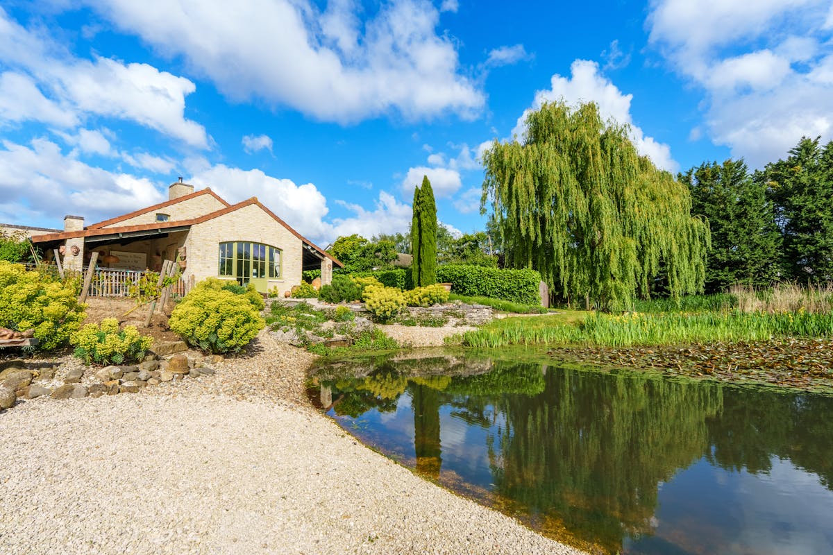 Alleenstaand huis te Meulebeke met prachtige tuin en vijver! - foto 5