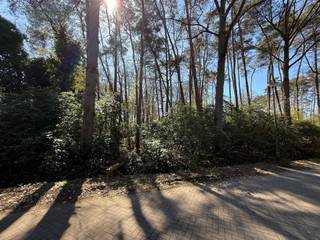<p>Schitterende bouwgrond gelegen in de Hofse Velden te 's-Gravenwezel!</p><p>In een <strong>doodlopende straat</strong> in 's-Gravenwezel bevindt zich deze ruime bouwgrond van <strong>2.296 m²</strong> met een straatbreedte van circa 25 meter. De bouwgrond bevindt zich vlak aan een uitgestrekt parkgebied en ligt op wandelafstand van de slotgracht van het <strong>Kasteel van ’s-Gravenwezel</strong>. Een unieke combinatie van absolute rust, privacy en een vlotte bereikbaarheid naar Antwerpen en de omliggende gemeenten. Zuid georiënteerde tuin!</p><p><br />De breedte van de bouwgrond meet 24,82 m aan de straatkant en 25,19m aan de achterzijde.<br />De diepte van de bouwgrond meet 91,57 m.</p><p>Met een <strong>bouwbreedte</strong> van 18,82 m en <strong>bouwdiepte</strong> van 40 m biedt de grond uitstekende mogelijkheden voor uw droomwoning.</p><p>De totale bebouwbare oppervlakte (hoofd-/bijgebouwen bedraagt 250 m²</p><p>De bouwgrond is zeer centraal gelegen in de dichte omgeving van het dorp van 's Gravenwezel, winkels, scholen, autostrades, ... Kortom een opportuniteit!</p><p>Extra: <br />- Bouwvoorschriften te verkrijgen op kantoor.<br />- Perceelscore A<br />- Niet gelegen in mogelijks of overstromingsgevoelig gebied, niet gelegen in afgebakend overstromingsgebied of afgebakende oeverzone, niet gelegen in risicozone overstromingen<br />- Woonpark<br />- Stedenbouwkundige info in aanvraag.</p><p>Nabij school, winkels, autosnelweg, openbaar vervoer, etc. Voor meer info ga naar www.coenenvastgoed.be of bel 03/375.82.92<br /> </p>
