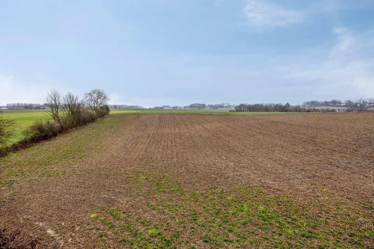 Land for sale in Bierbeek - photo 2