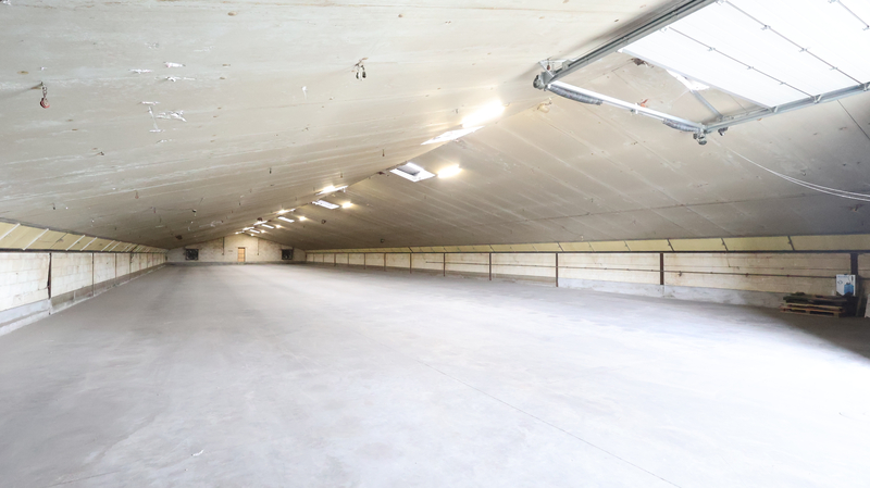 Ruime loods van 1.150 m² te huur in Lichtervelde! - foto 1