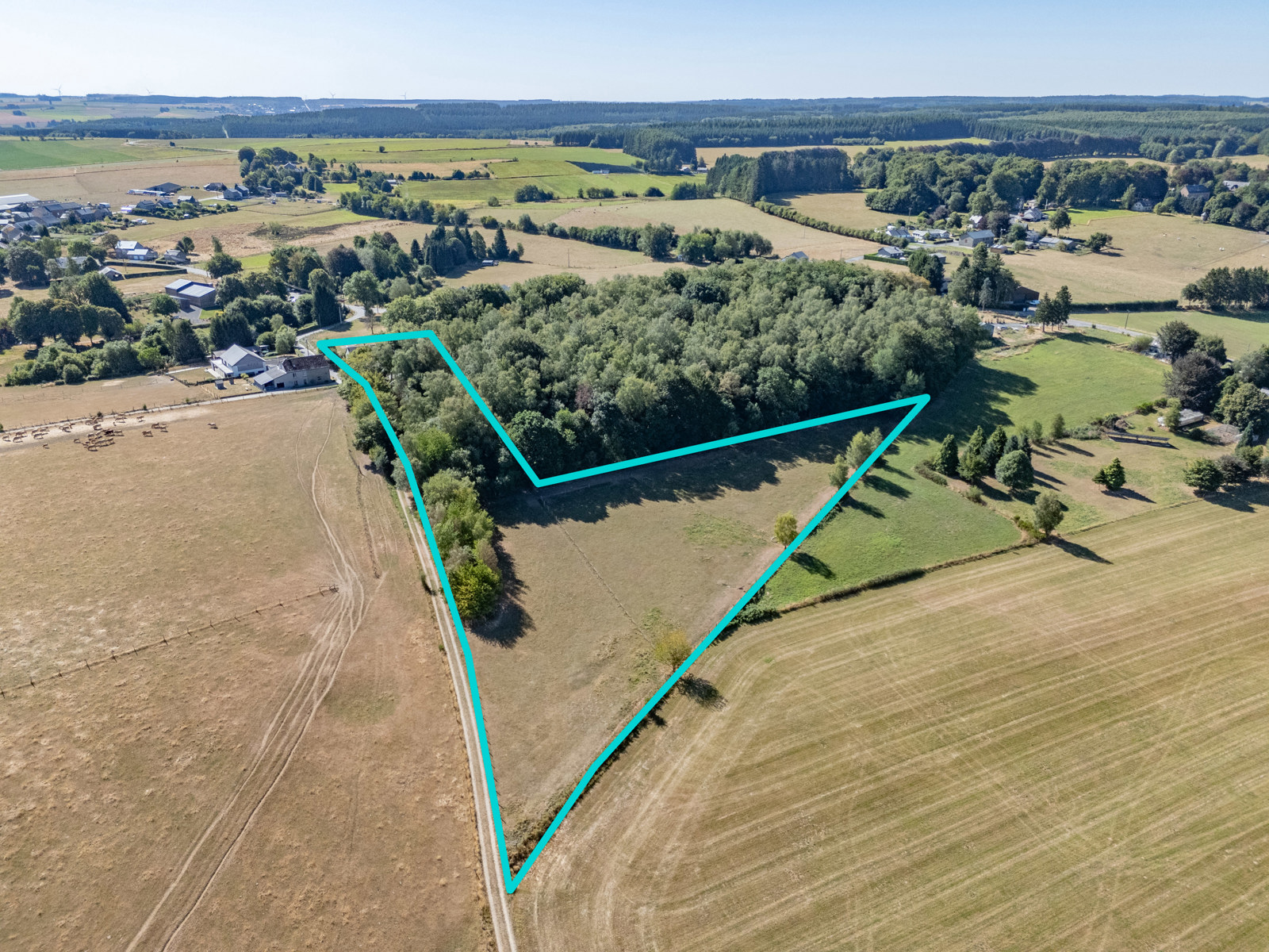 Karaktervolle hoeve met 1,3 ha grond en paardenstallen - foto 4