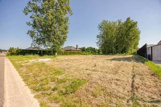 <h1><span>Royaal perceel met zuidoriëntatie en uniek bouwpotentieel </span></h1>
<p><span>Op zoek naar een bouwperceel waar ruimte, groen en mogelijkheden samenkomen? Dan is dit uitzonderlijke perceel precies wat u zoekt. <br /><br /></span></p>
<p><span>Met een breedte van bijna </span><strong><span>30 meter</span></strong><span> en een diepte van </span><strong><span>meer dan 130 meter</span></strong><span> biedt dit royale perceel alle troeven om uw woondroom te realiseren. De </span><strong><span>zuidoriëntatie</span></strong><span> zorgt voor een optimale lichtinval en een zonnige tuin, terwijl de royale afmetingen alle vrijheid bieden om een woning volledig op maat te ontwerpen. <br /><br /></span></p>
<p><span>Volgens de geldende stedenbouwkundige voorschriften is het perceel gelegen in gemengd woon</span><span>gebied; vooraan </span><strong><span>woongebied met landelijk karakter </span></strong>en aansluitend achteraan<strong><span> agrarisch gebied</span></strong><span>. Dankzij de ruime bouwzone kan, binnen de geldende voorschriften en na het verkrijgen van de vereiste vergunningen, een woning worden gerealiseerd met een </span><strong><span>gelijkvloerse bouwoppervlakte tot circa 330 m²</span></strong><span>. Dat biedt uitzonderlijke mogelijkheden: van een exclusieve villa met meerdere bouwlagen tot een royale, volledig gelijkvloerse woning voor wie kiest voor comfortabel en levensbestendig wonen. <br /><br /></span></p>
<p><span>Kiest u voor een compactere woning, dan blijft er nog volop ruimte over voor een prachtig aangelegde tuin, een weide of het behoud van de bestaande groene omgeving. <br /><br /></span></p>
<p><span>Een absolute meerwaarde is het </span><strong><span>volwassen bos</span></strong><span> achteraan het perceel. Deze natuurlijke buffer zorgt voor rust, privacy en verkoeling tijdens warme zomerdagen en draagt bij aan een rijke biodiversiteit. Voor liefhebbers van landelijk wonen biedt het bovendien mogelijkheden om een groene zone te behouden als beschutte omgeving voor kleinvee. <br /></span></p>
<p><strong><span>Belangrijkste bouwkenmerken: <br /></span></strong></p>
<ul>
<li><span>perceelbreedte van bijna </span><strong><span>30 meter </span></strong></li>
<li><span>perceeldiepte van </span><strong><span>meer dan 130 meter </span></strong></li>
<li><span>uitstekende </span><strong><span>zuidoriëntatie </span></strong></li>
<li><span>gelegen in </span><strong><span>woongebied</span></strong><span> en </span><strong><span>woongebied met landelijk karakter </span></strong></li>
<li><span>bouwbreedte van </span><strong><span>bijna 20 meter </span></strong></li>
<li><span>maximale bouwdiepte van </span><strong><span>17 meter </span></strong></li>
<li><span>mogelijke gelijkvloerse bouwoppervlakte tot </span><strong><span>circa 330 m² </span></strong></li>
<li><span>maximale kroonlijsthoogte van </span><strong><span>6,5 meter </span></strong></li>
<li><span>maximale nokhoogte van </span><strong><span>11 meter </span></strong></li>
<li><span>vrije materiaalkeuze, mits esthetisch verantwoord </span></li>
<li><span>mogelijkheid tot maximaal </span><strong><span>40 m²</span></strong><span> aan bijgebouwen </span><span></span></li>
</ul>
<br />
<p><span>Een zeldzame kans om uw droomwoning te realiseren op een royaal perceel waar ruimte, natuur, zon en uitzonderlijk bouwpotentieel perfect samenkomen. <br />Contacteer ons vandaag nog voor meer informatie of een bezoek ter plaatse. </span></p>