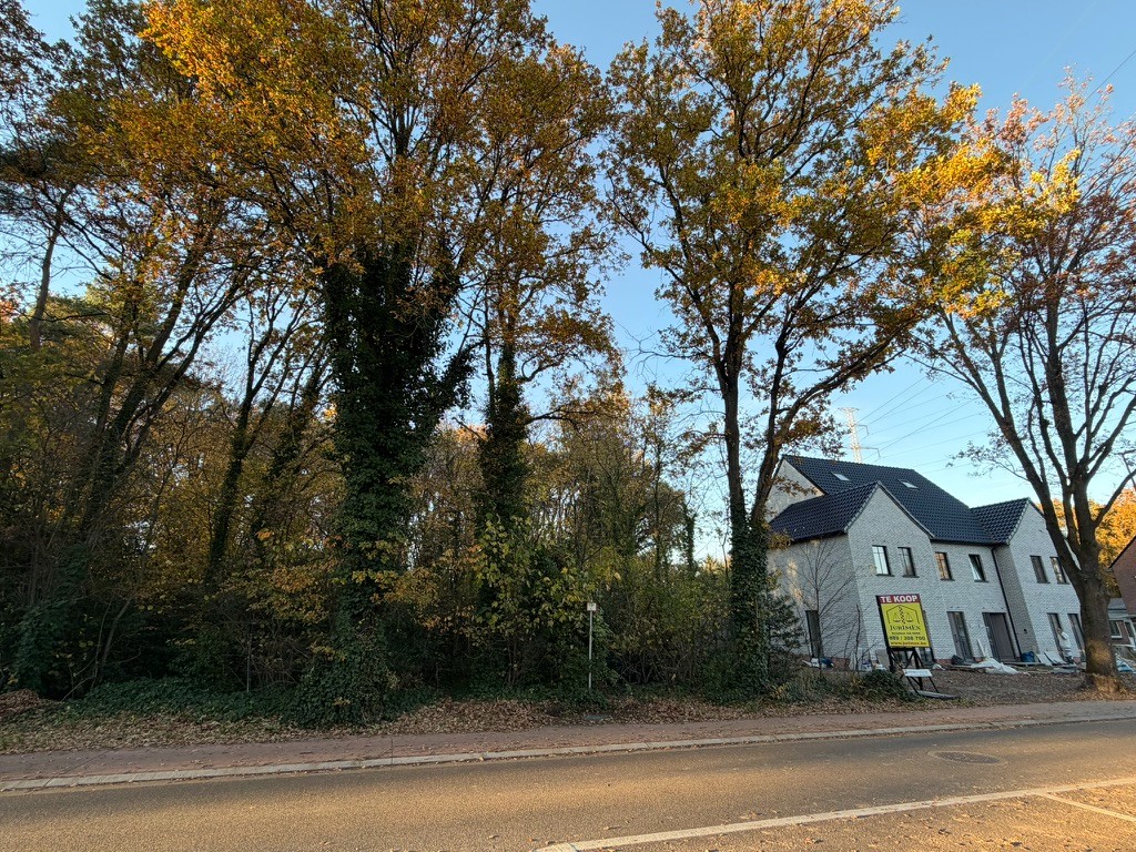 Genk, Reinpadstraat 185 (Lot 3A en 3B): uitstekend gelegen bouwgrond van 7a 23ca voor halfopen bebouwing. - foto 4