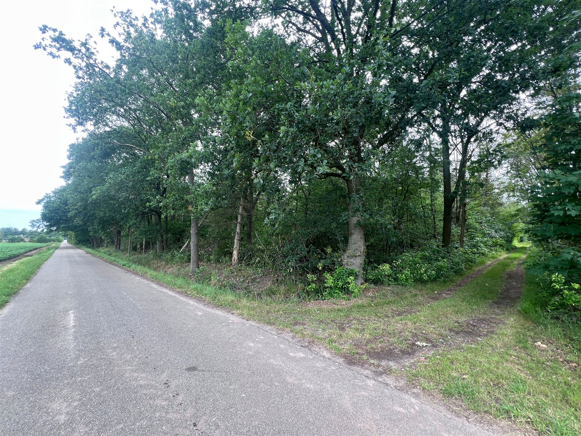 Terrain - photo 5