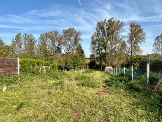 Terrain à vendre à Ninove