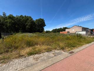 Deze goed bereikbare bouwgrond is geschikt voor een open bebouwing en heeft een straatbreedte van meer dan 16 meter. De ligging te Winkelomseheide 73 zorgt voor een goede verbinding naar het centrum van Geel, de E313 en de omliggende gemeenten. Al deze troeven maken van deze bouwgrond de ideale plaats om uw thuis te bouwen.<br /><br />Kenmerken:<br />- Totale oppervlakte: 540 m²<br />- Perceelbreedte: 16 m<br />- Perceeldiepte: 35 m<br />- Bestemming: woongebied<br />- Oriëntatie: west<br /><br />Het perceel leent zich perfect voor het bouwen van een ruime gezinswoning.<br /><br />Voor meer informatie over de mogelijkheden bij dit perceel bent u altijd welkom op ons kantoor of kan u ons steeds bereiken via info@vastengoed.be of 014 72 73 74.<br /><br />Wenst u een gratis schatting van uw eigendom? Contacteer ons vrijblijvend voor een afspraak!