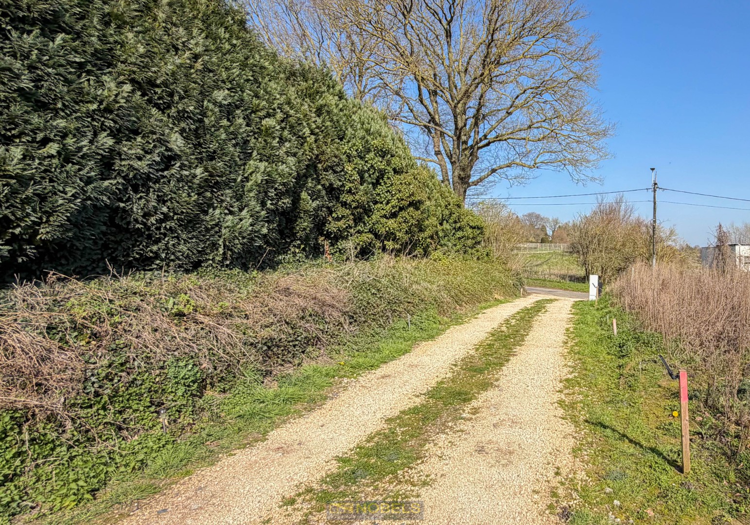 Te koop, ruim perceel (1.250m)² aan de Schelde te Oudenaarde - photo 4