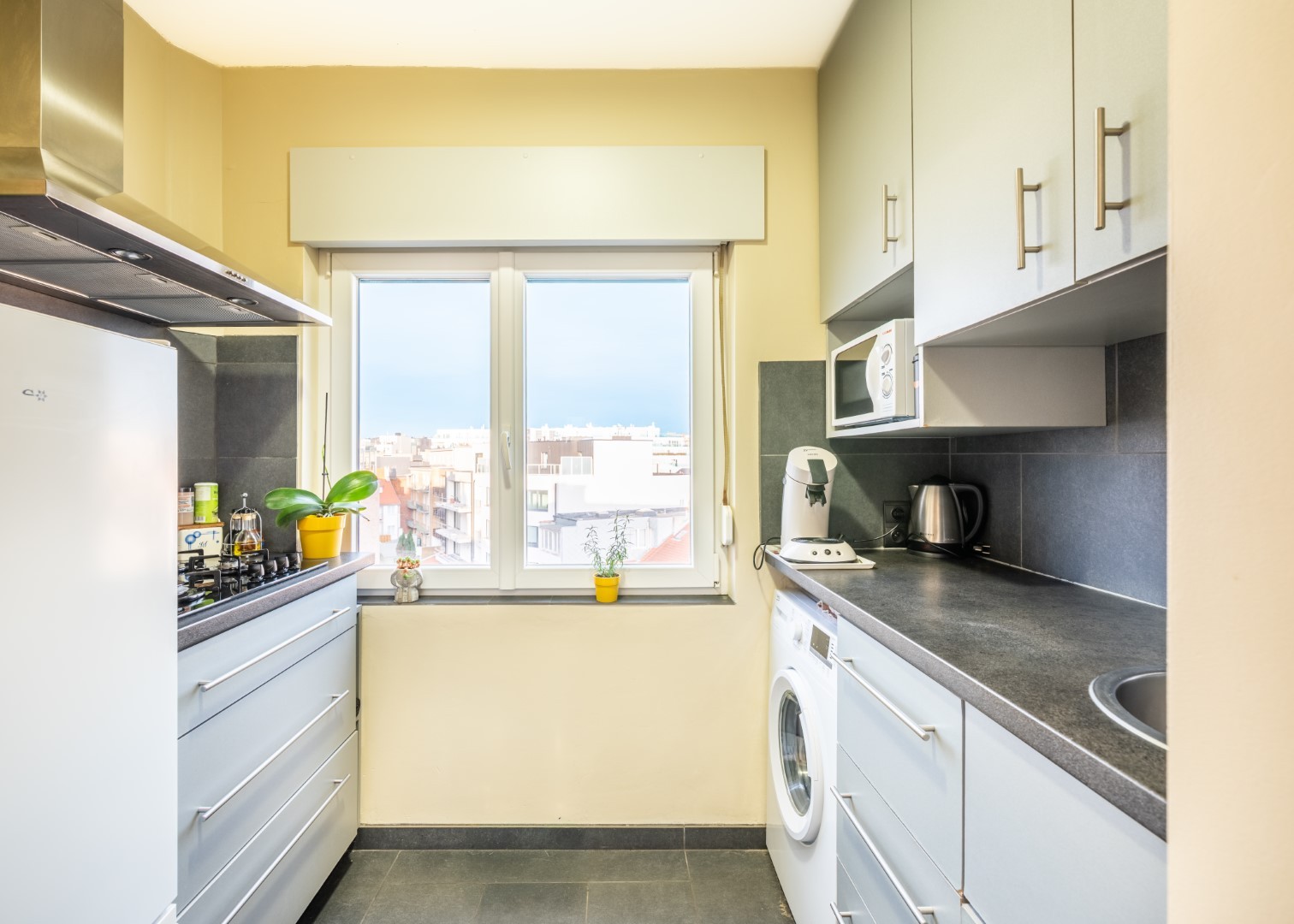 Porto Rico - 04.03 - photo 5