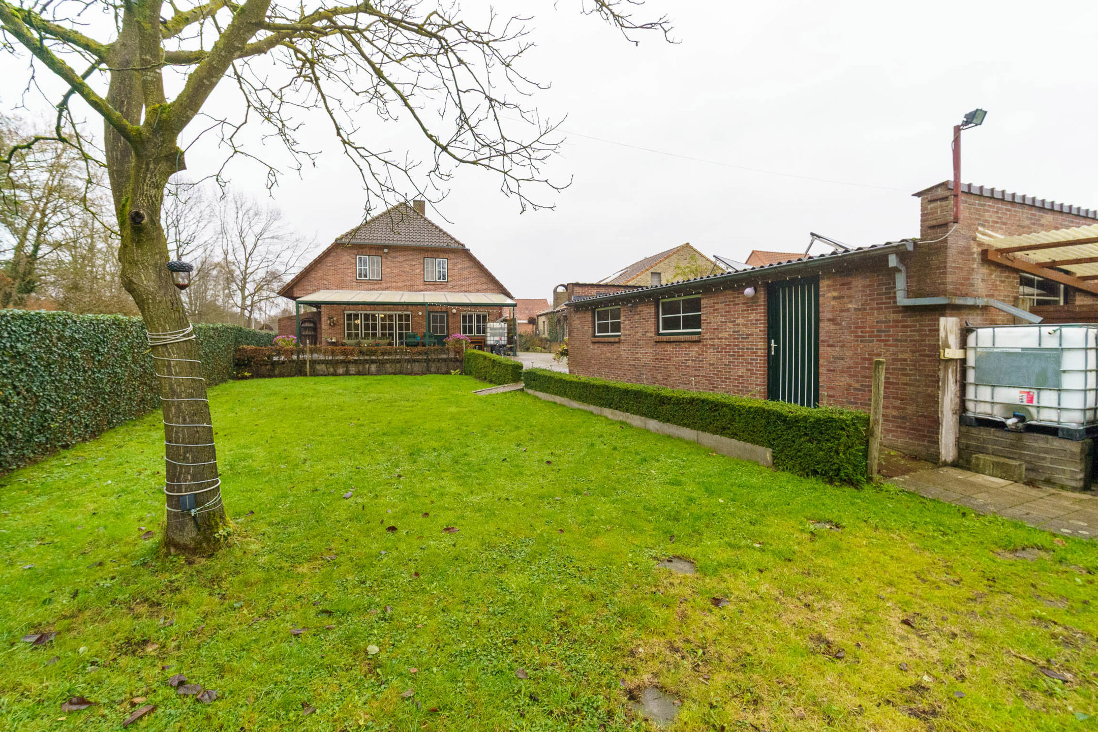 Ruime woning met 4 slpk, enorme kelder en prachtige tuin. - foto 3